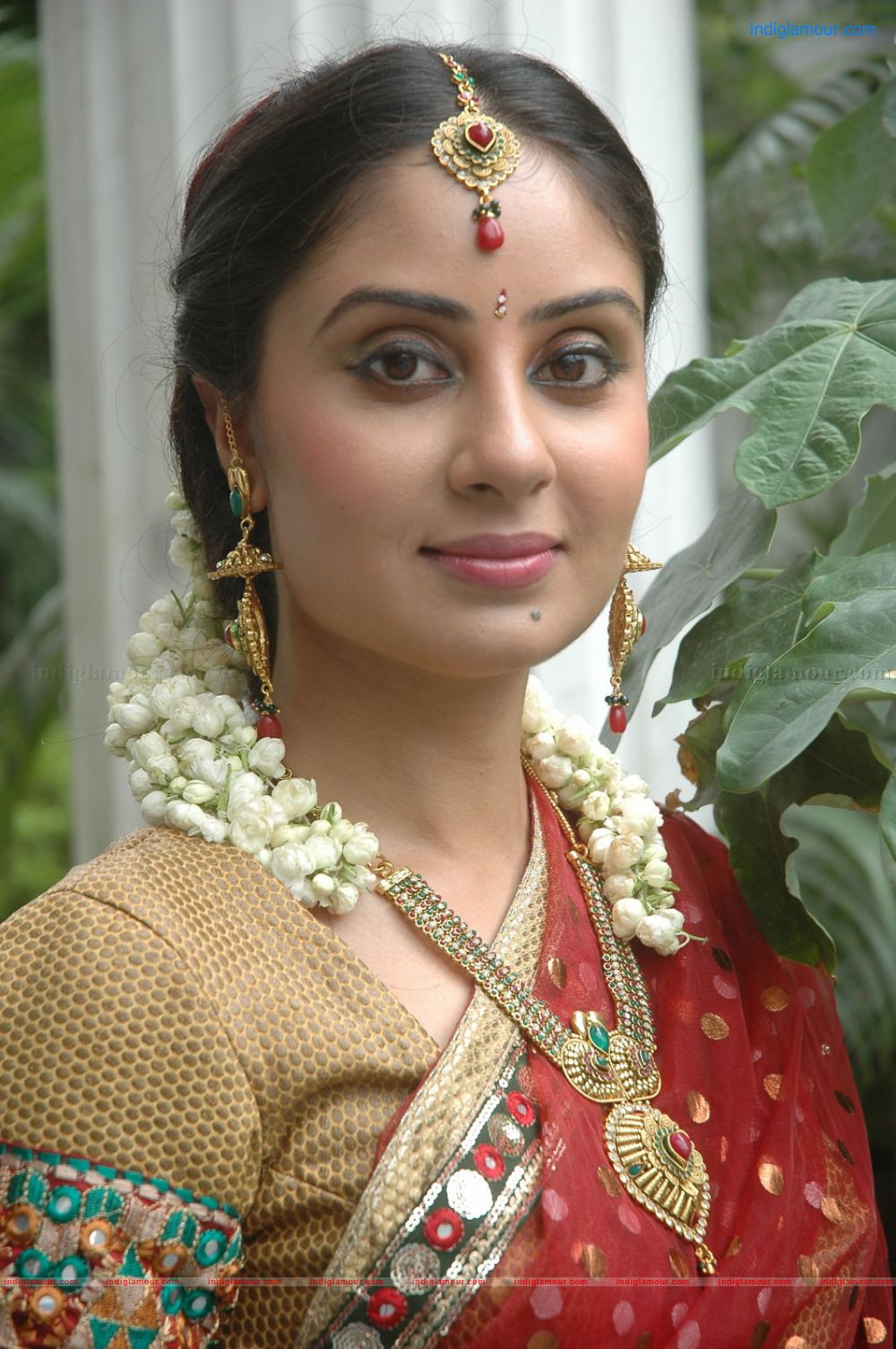Bhanu Sri Mehra Actress hd photo