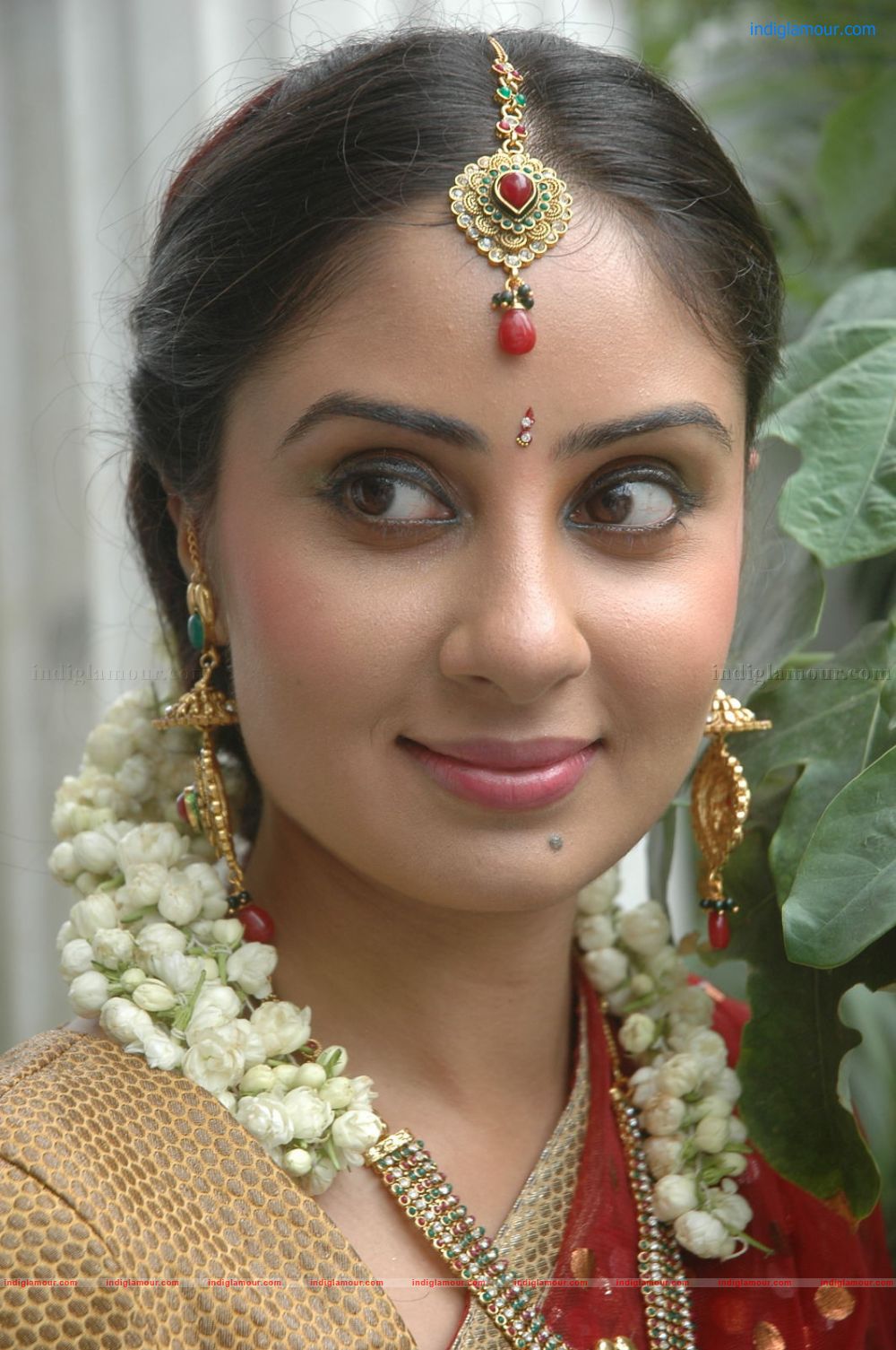 Bhanu Sri Mehra Actress hd photo
