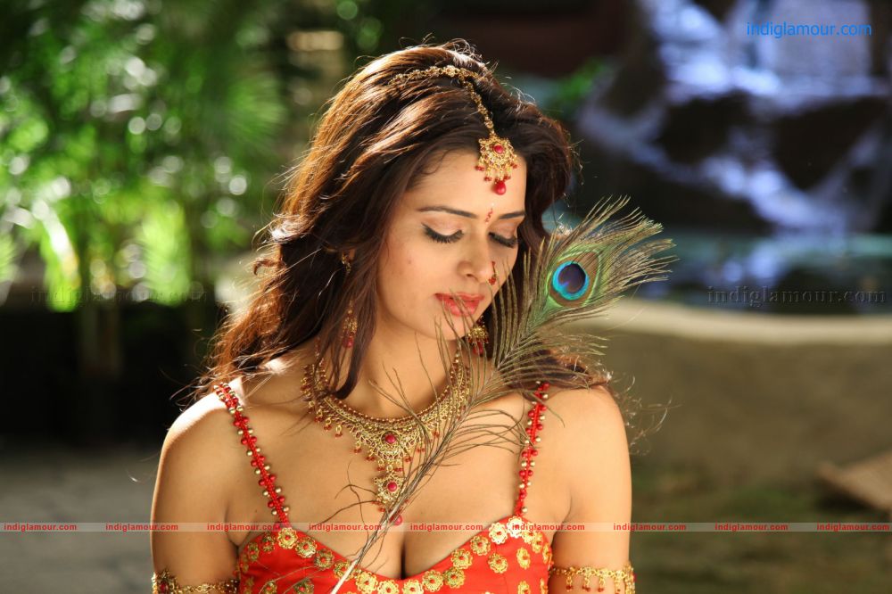 Meenakshi Dixit Actress hd photo