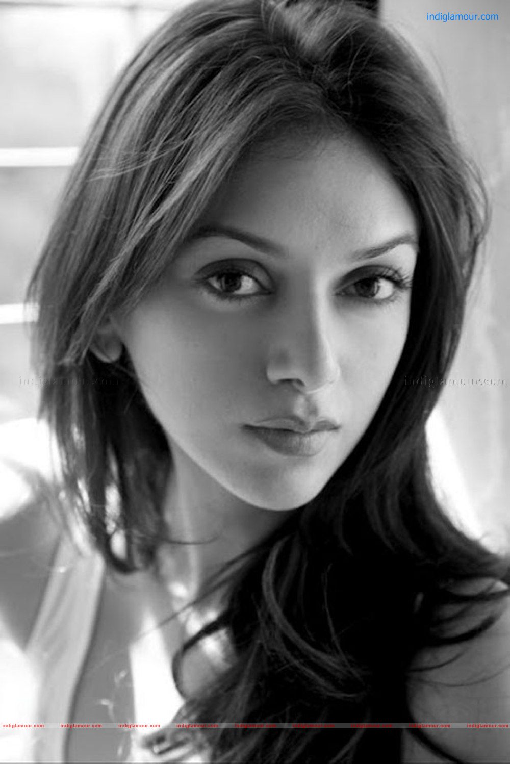 Aditi Rao Actress hd photo