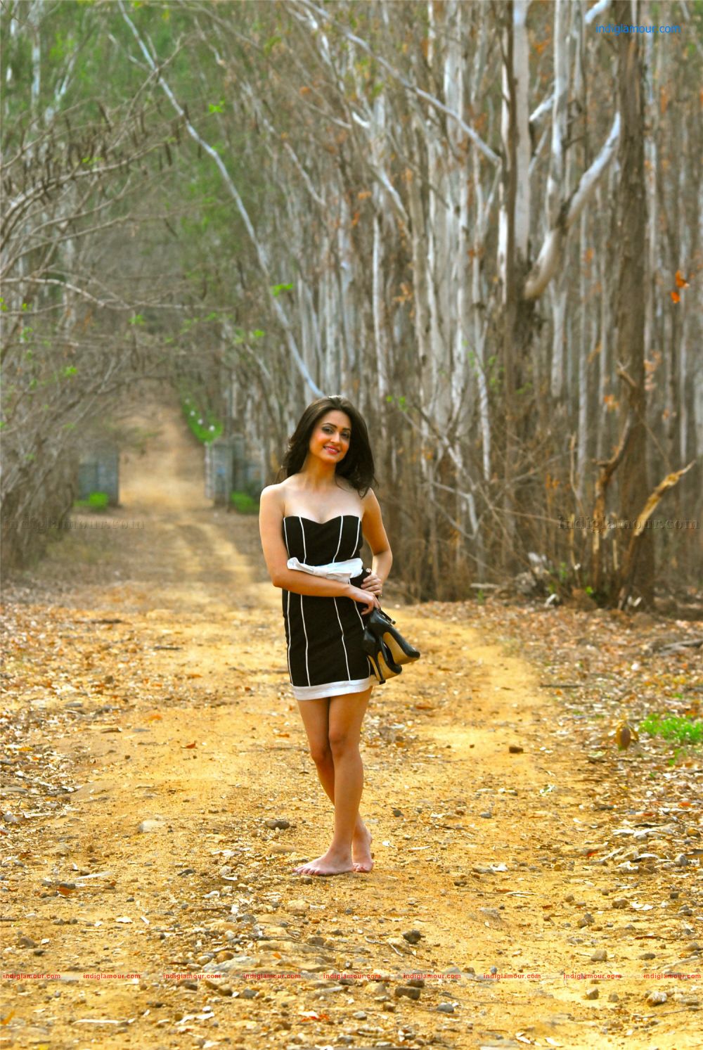 Kriti Kharbanda Actress hd photo