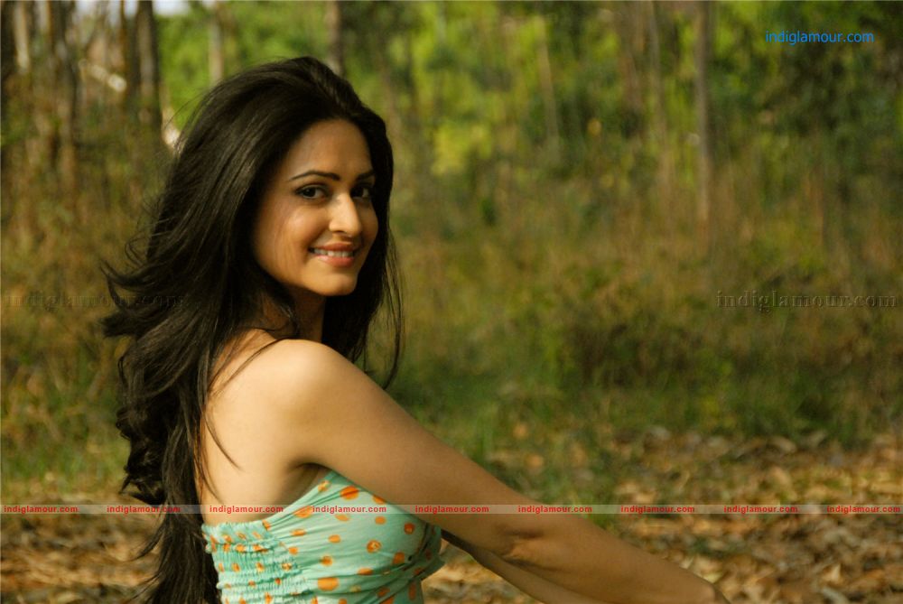 Kriti Kharbanda Actress hd photo