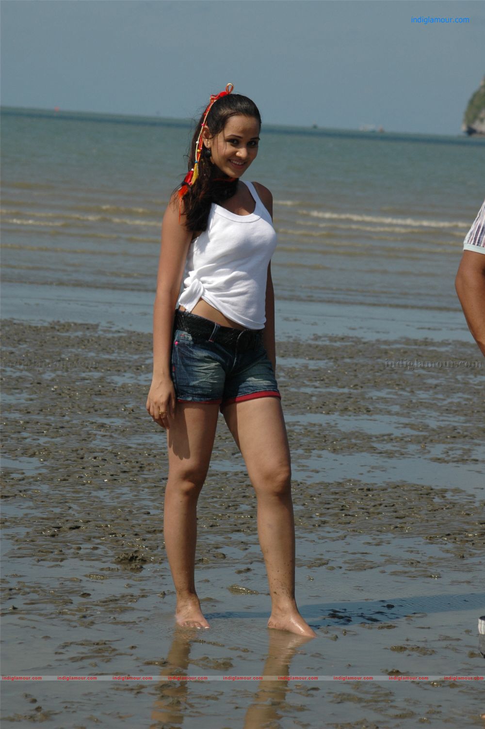 Nisha Kothari Actress hd photo