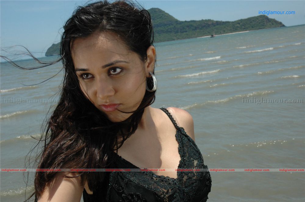 Nisha Kothari Actress hd photo