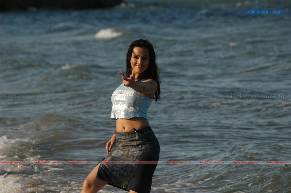 Nisha Kothari Actress hd photo