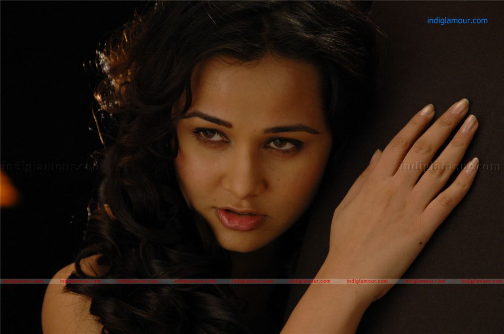Nisha Kothari Actress hd photo