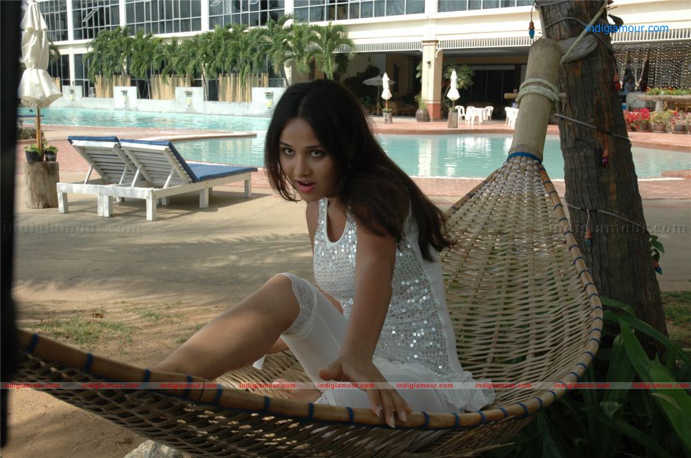 Nisha Kothari Actress hd photo