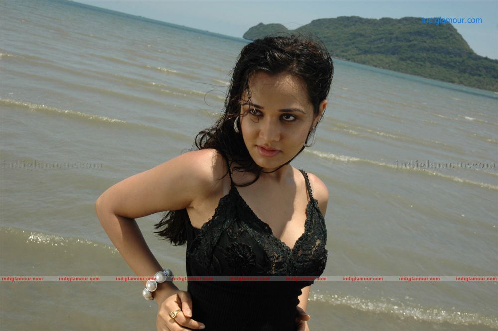 Nisha Kothari Actress hd photo