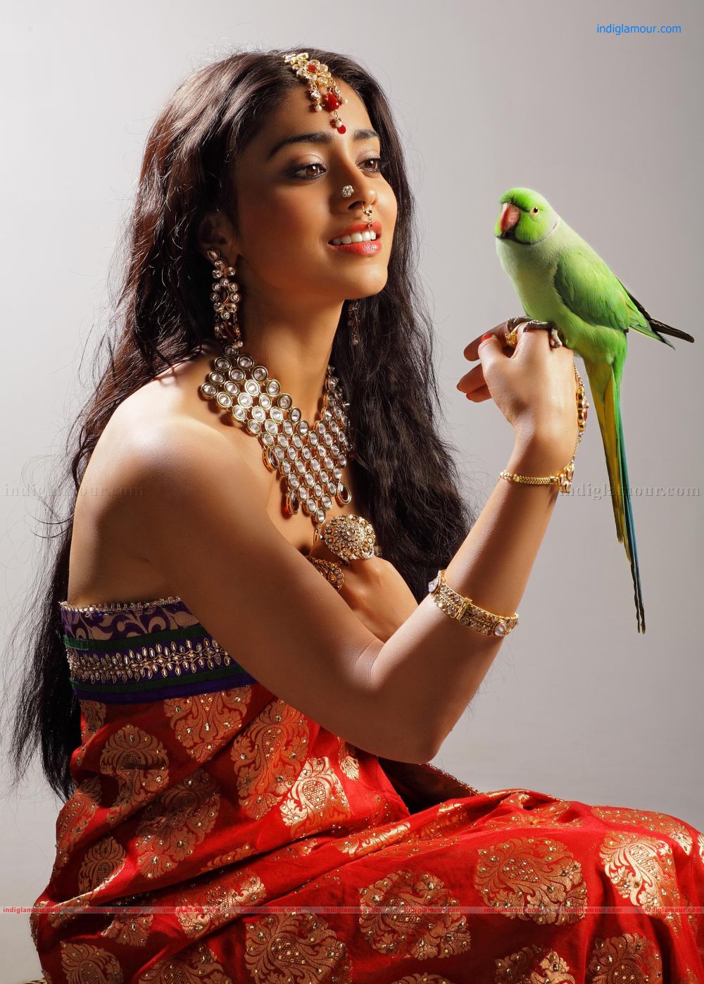 Shriya Saran Actress hd photo