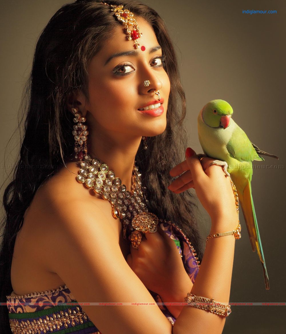 Shriya Saran Actress hd photo