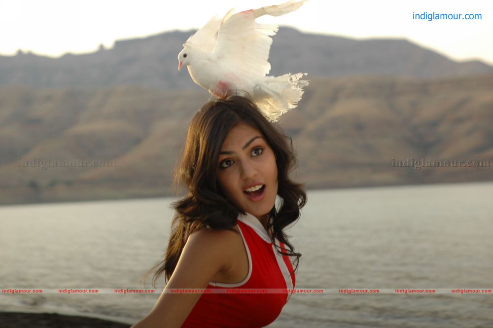 Riya Actress hd photo