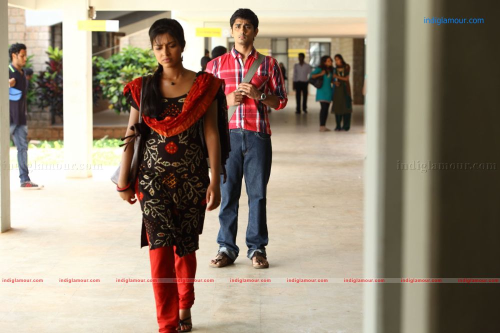 Amala Paul Actress hd photo