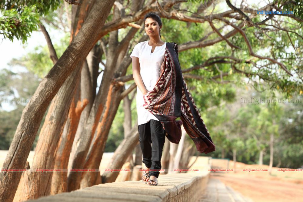 Amala Paul Actress hd photo