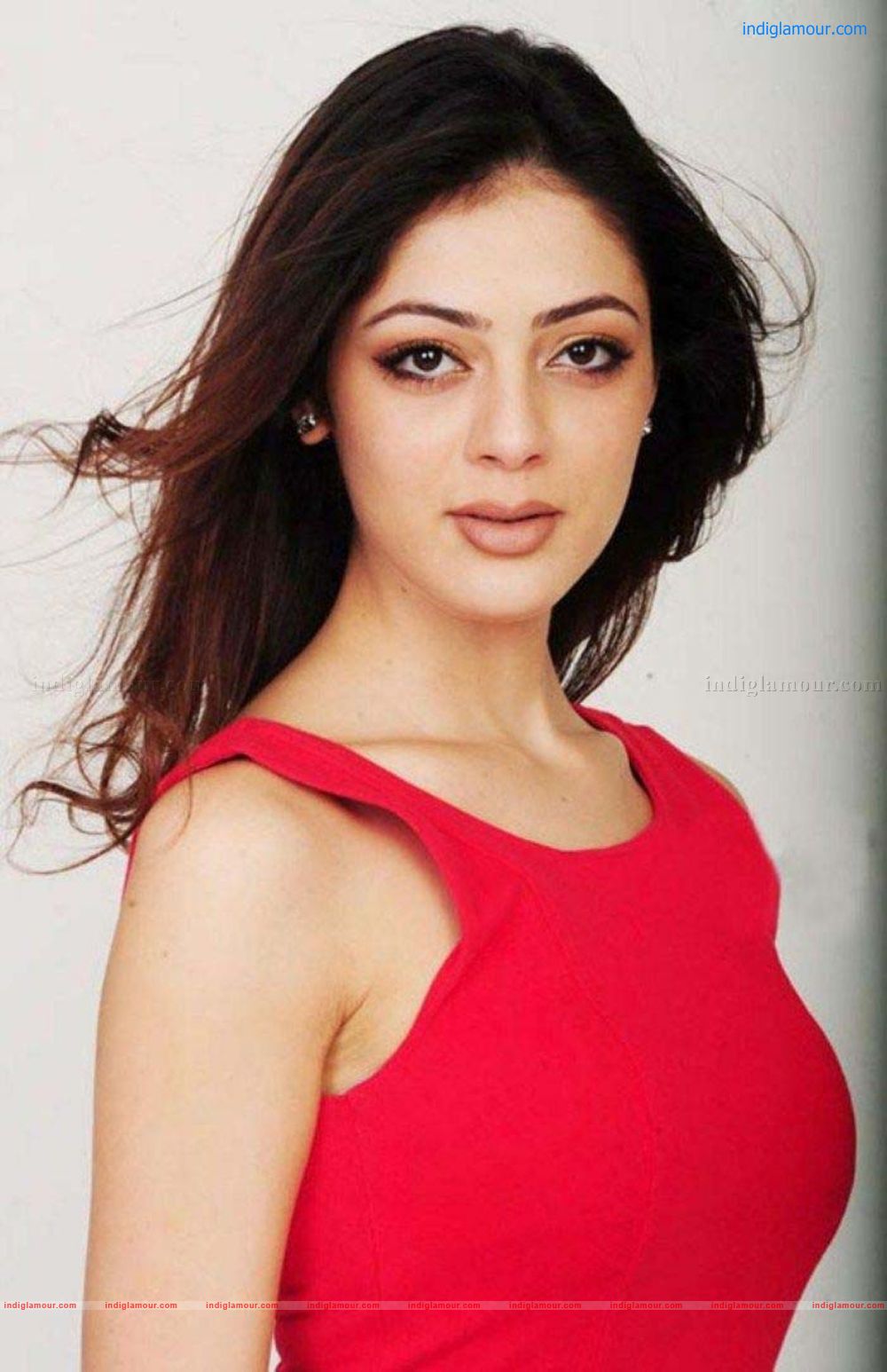 Parvathi Melton Actress hd photo
