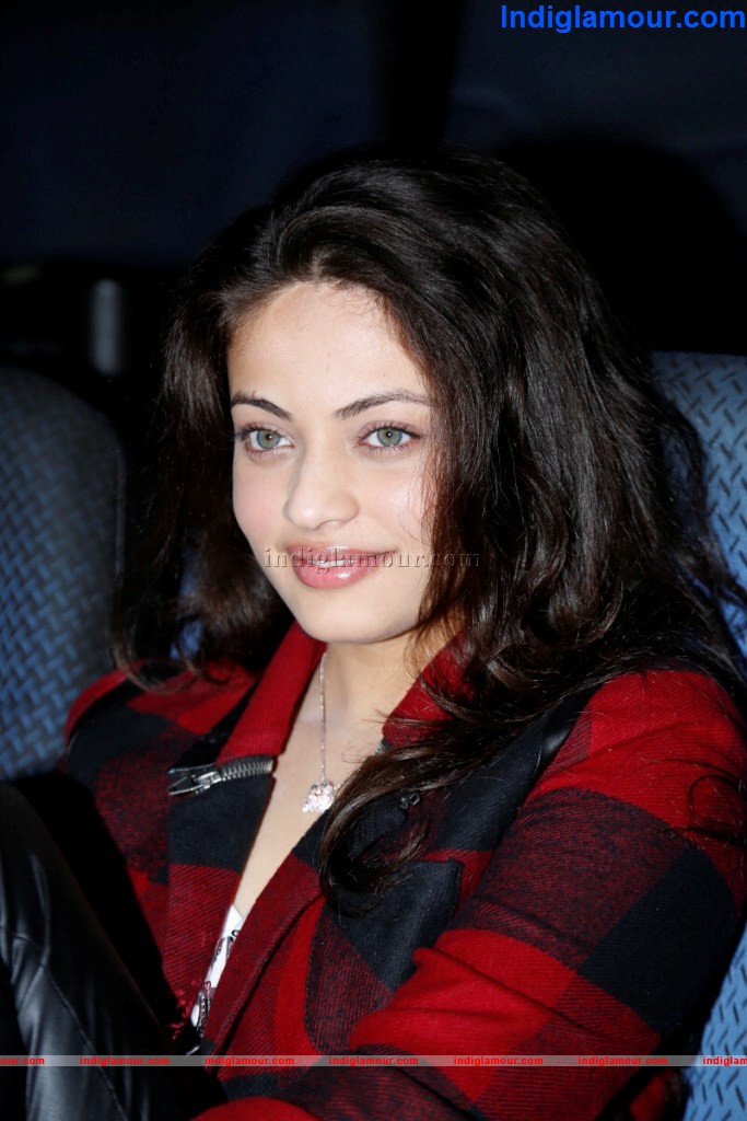 Sneha Ullal Actress hd photo
