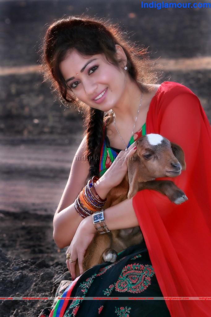 Madhavi Latha Actress hd photo