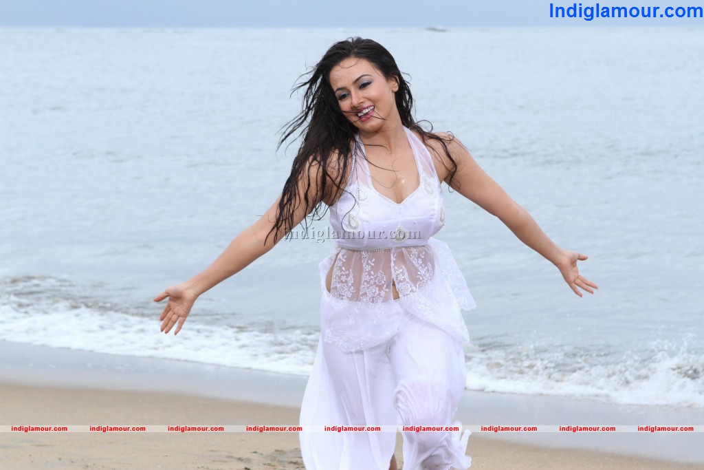 Sana Khan Actress hd photo
