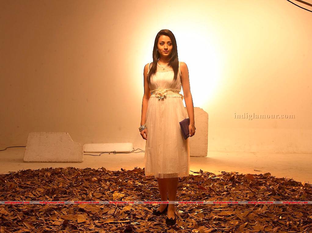 Trisha Actress hd photo