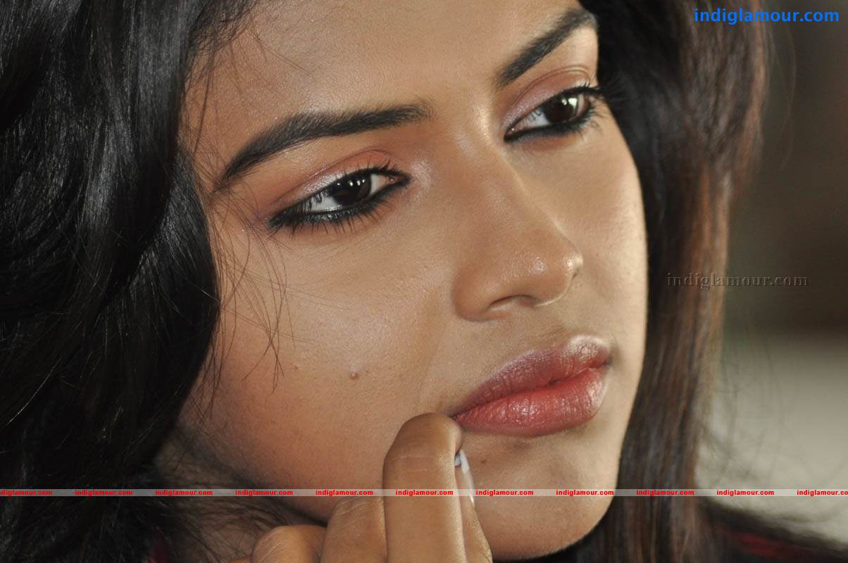 Amala Paul Actress hd photo