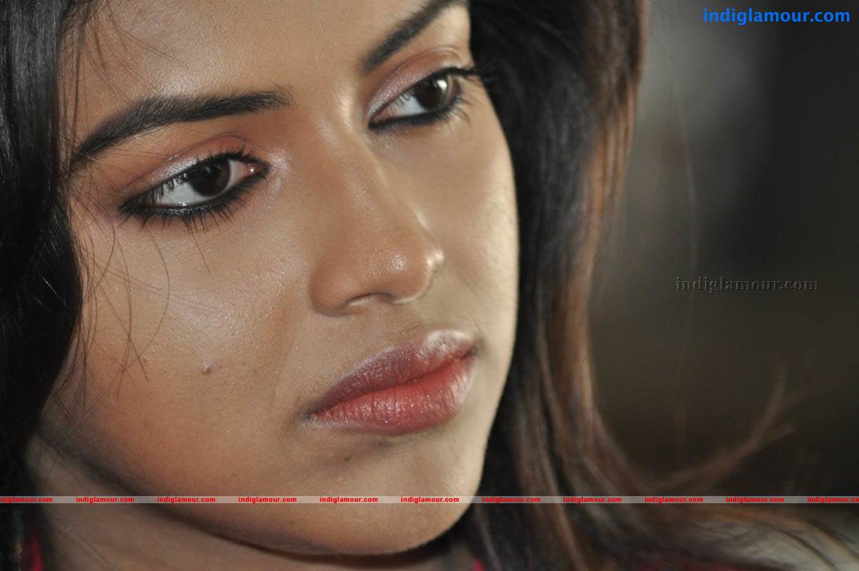 Amala Paul Actress hd photo