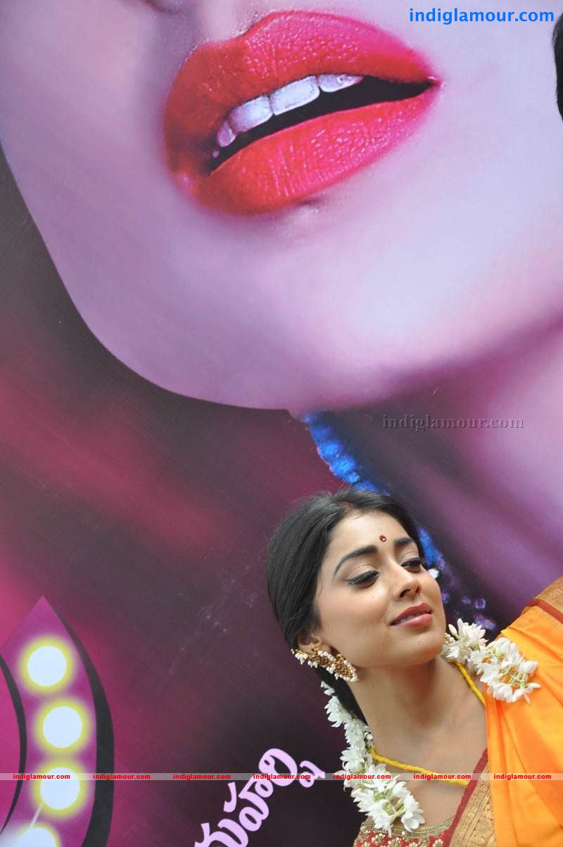 Shriya Saran Actress hd photo