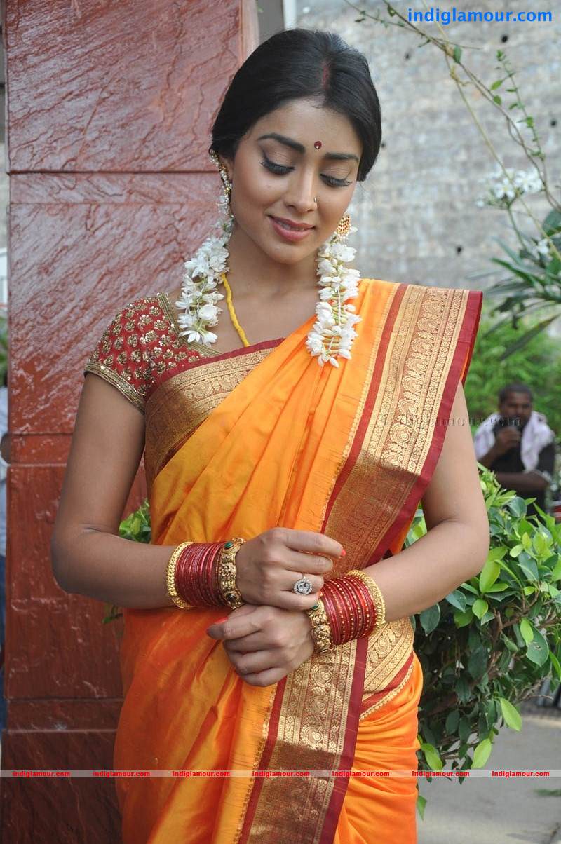 Shriya Saran Actress hd photo