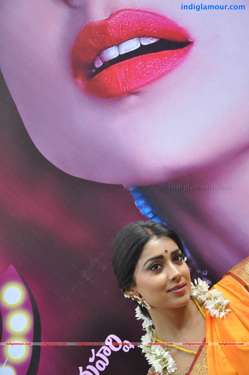 Shriya Saran Actress hd photo