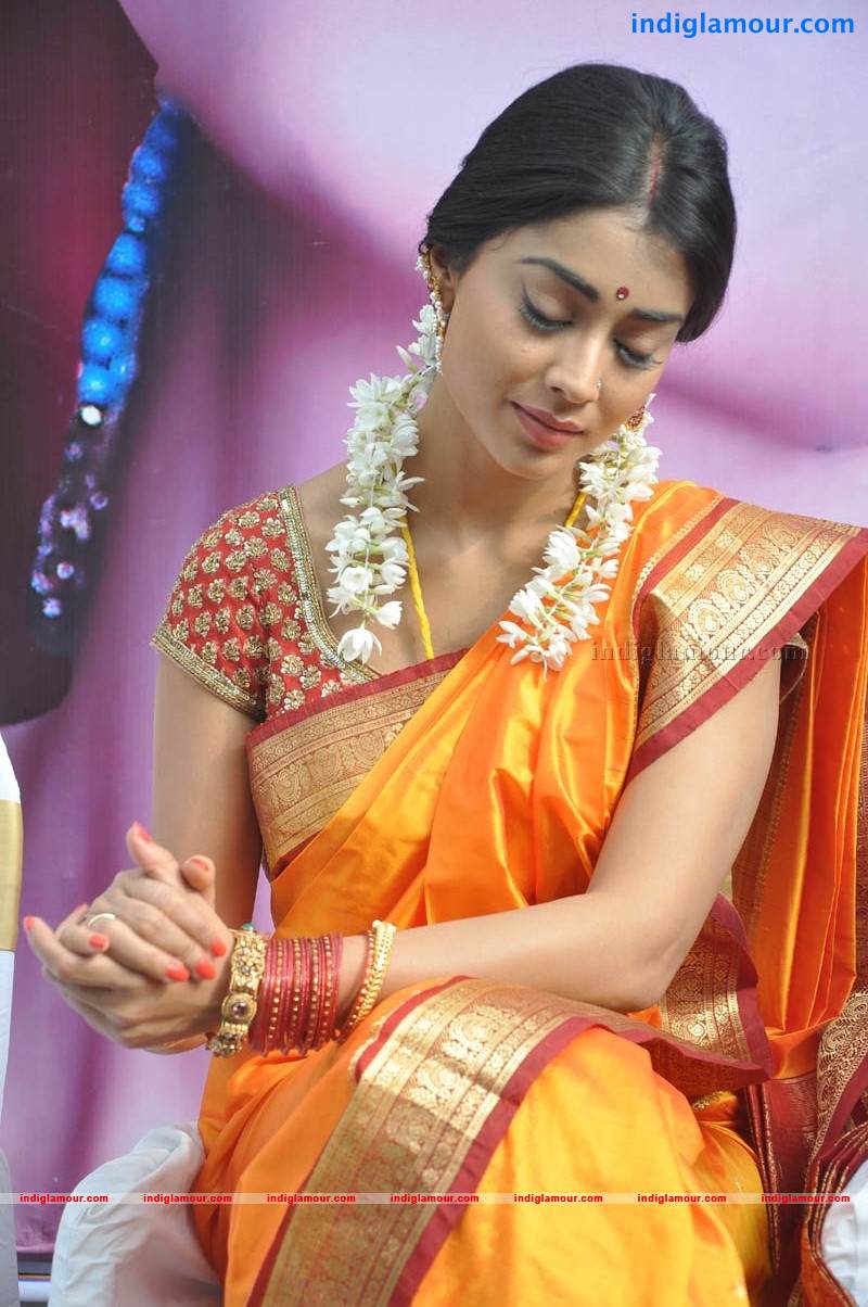Shriya Saran Actress hd photo