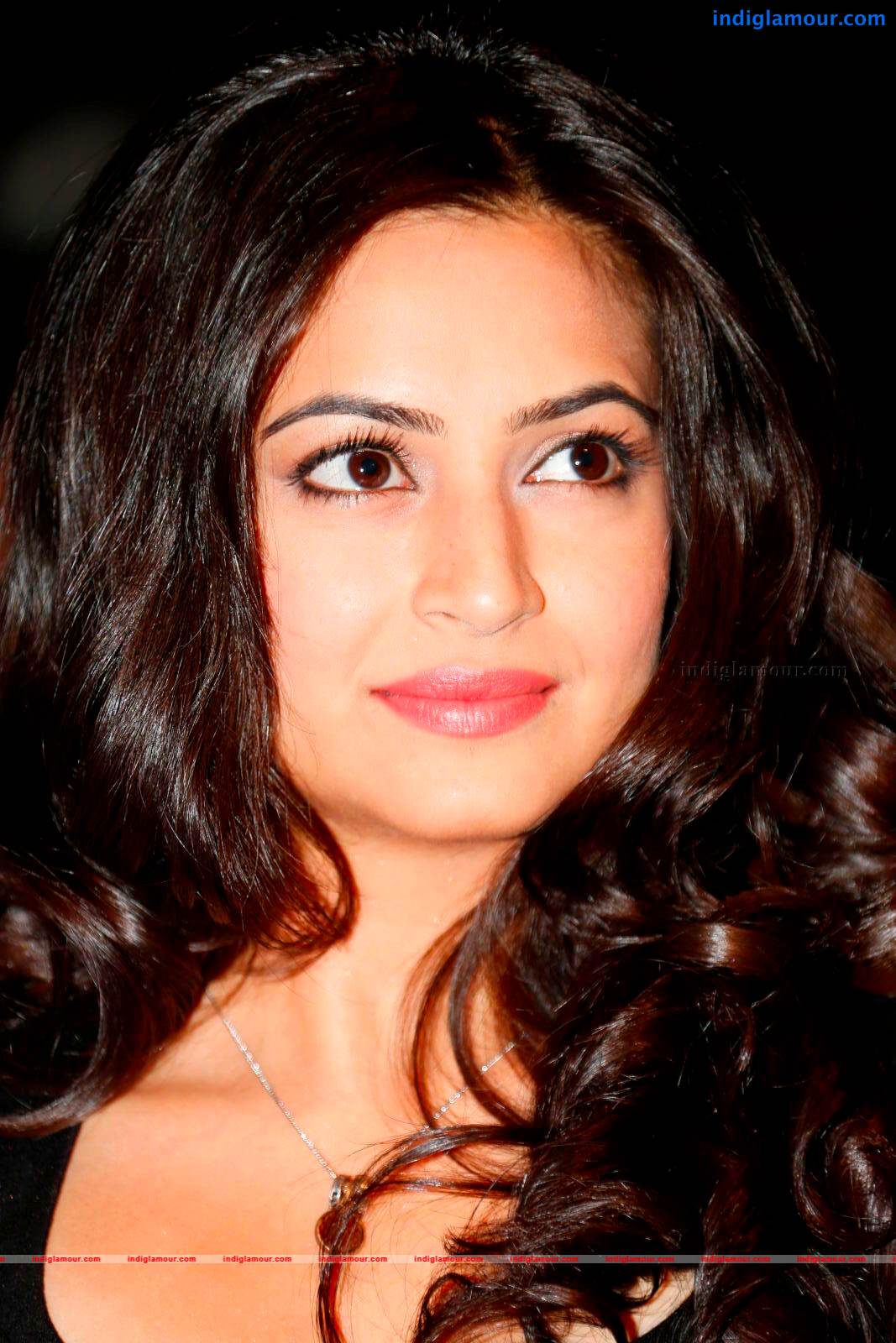Kriti Kharbanda Actress hd photo