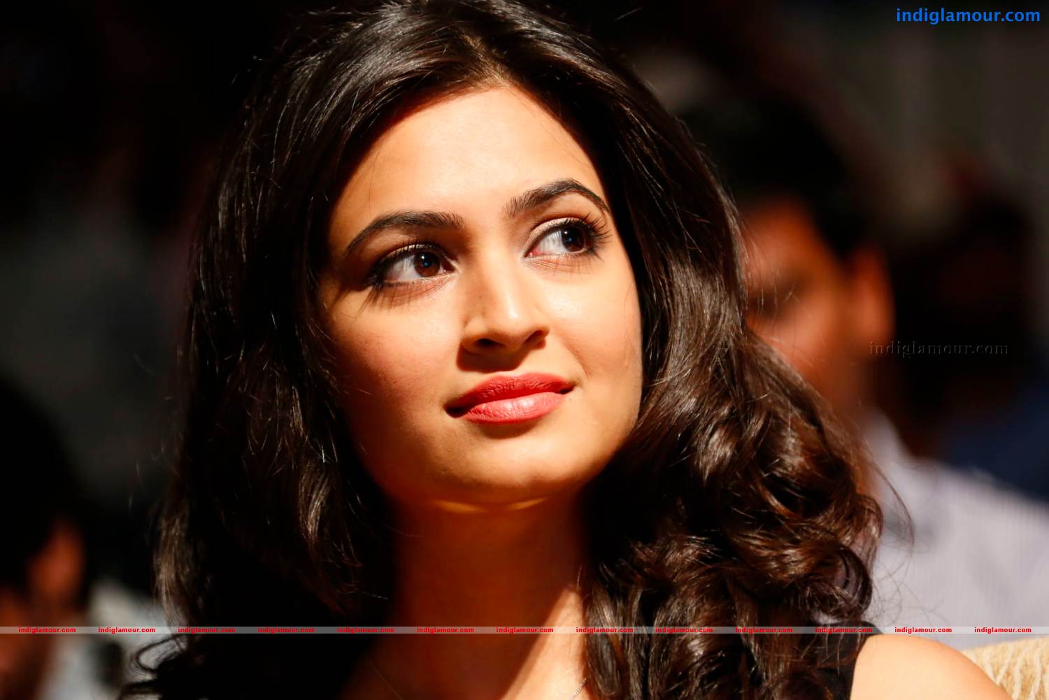Kriti Kharbanda Actress hd photo