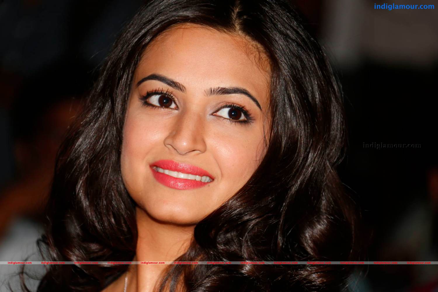 Kriti Kharbanda Actress hd photo