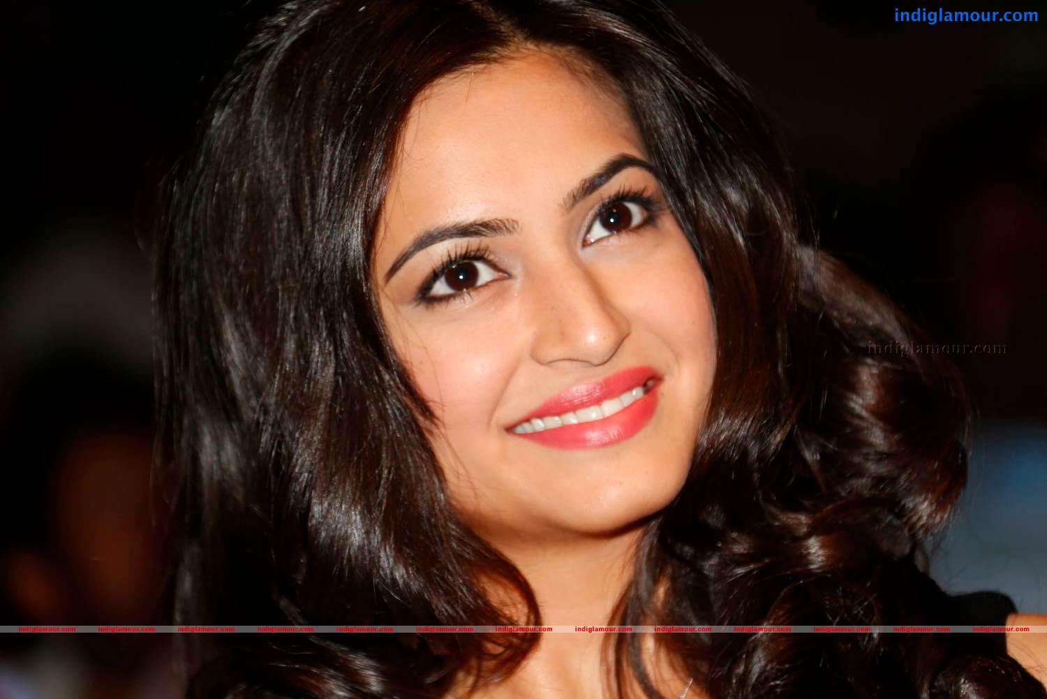 Kriti Kharbanda Actress hd photo