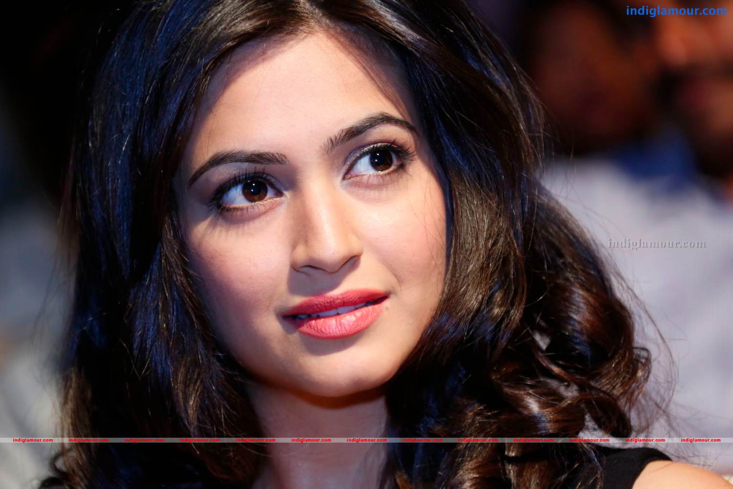 Kriti Kharbanda Actress hd photo