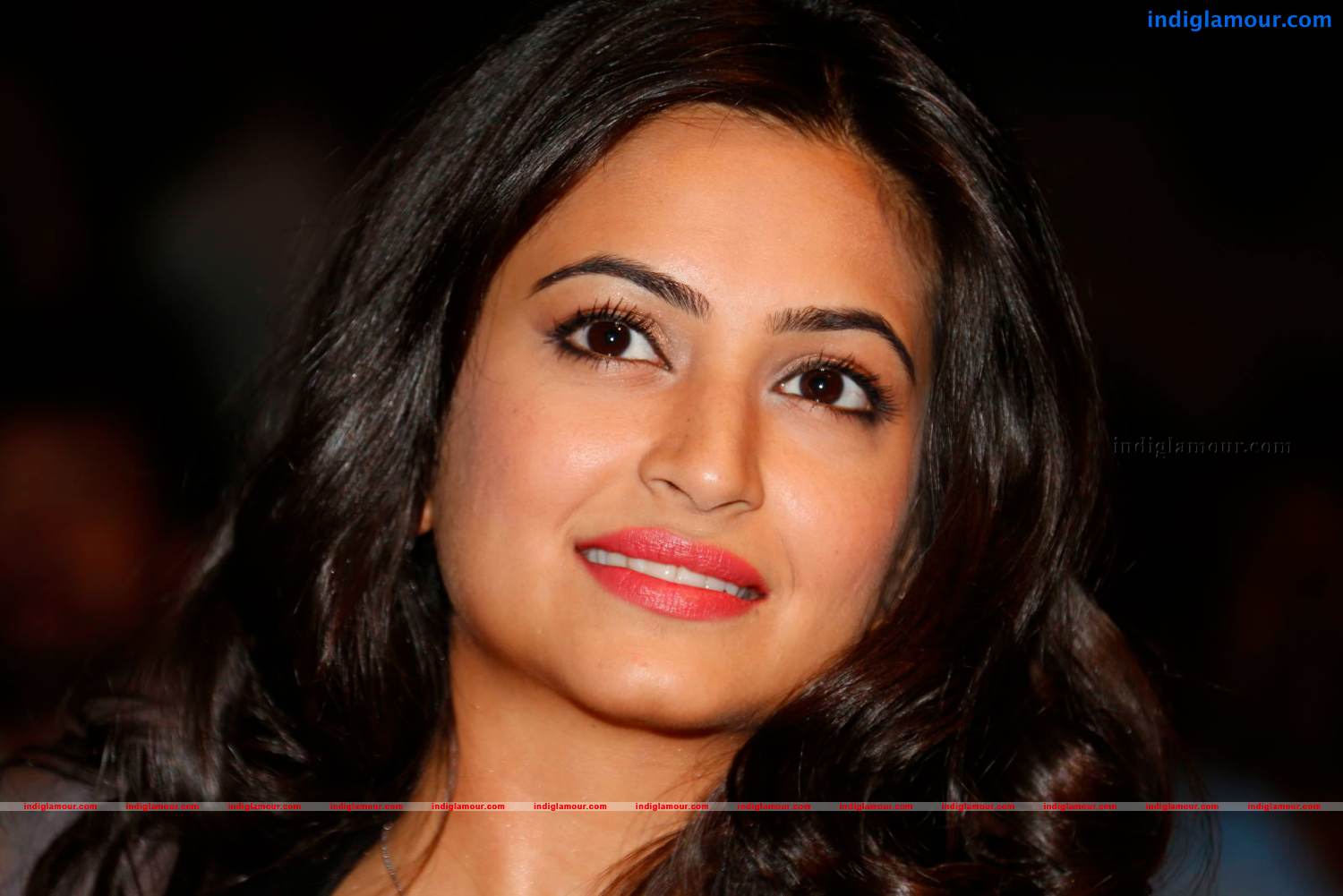 Kriti Kharbanda Actress hd photo