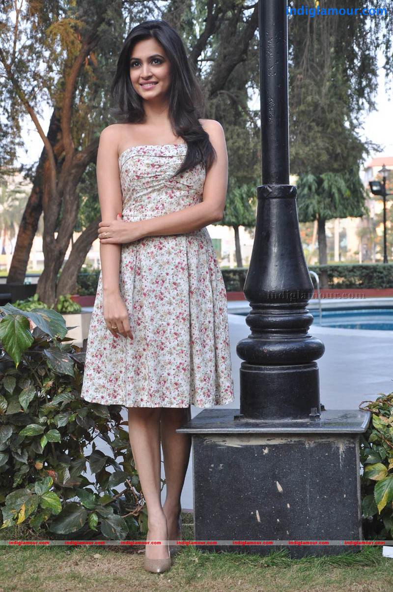 Kriti Kharbanda Actress hd photo