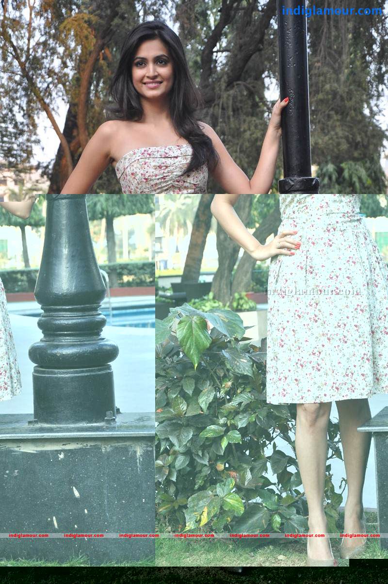 Kriti Kharbanda Actress hd photo