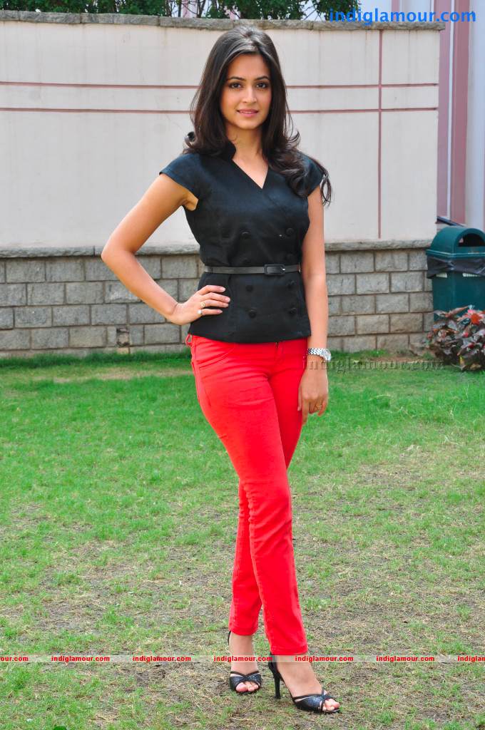 Kriti Kharbanda Actress hd photo