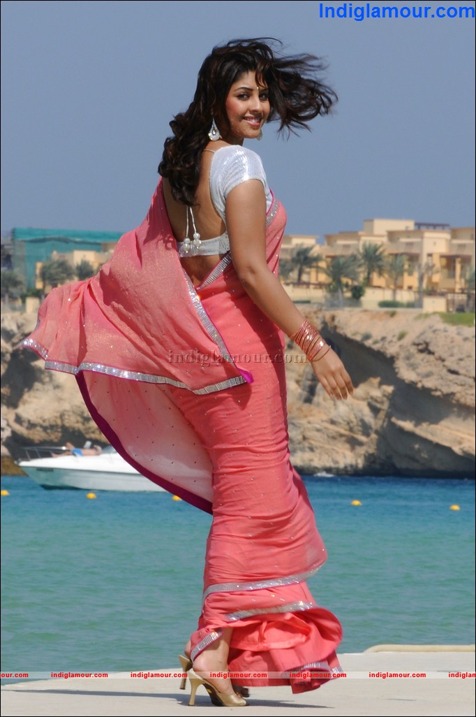 Richa Gangopadhyay Actress hd photo