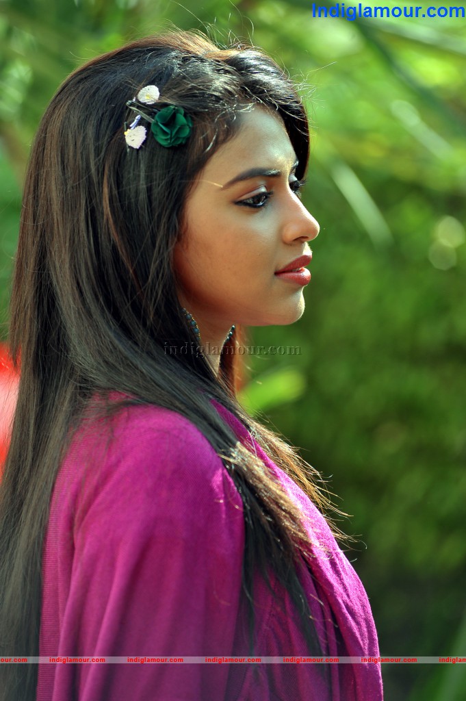 Amala Paul Actress hd photo