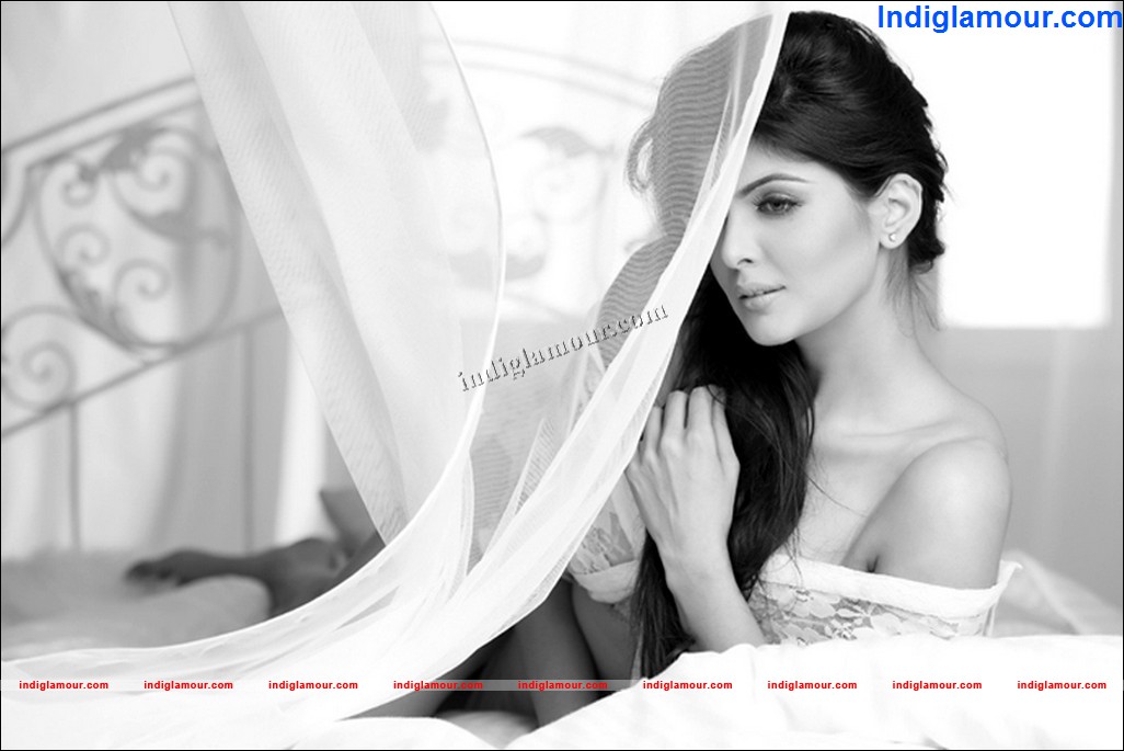 Charan Dillon Actress hd photo