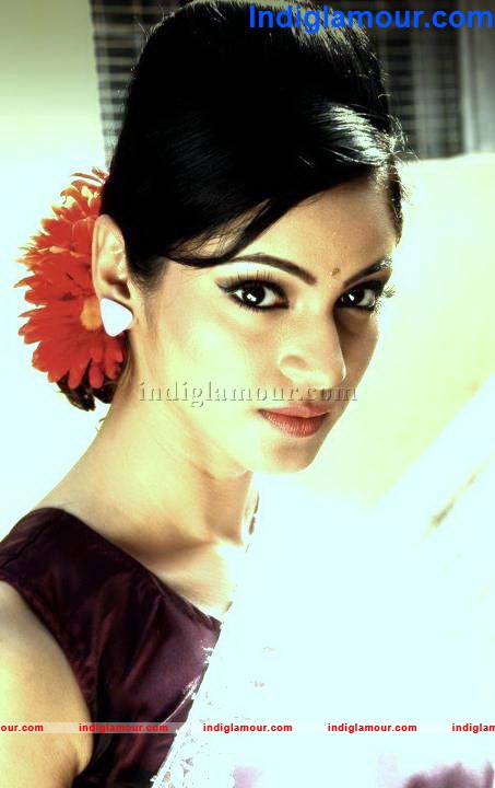Shilpi Sharma Actress hd photo
