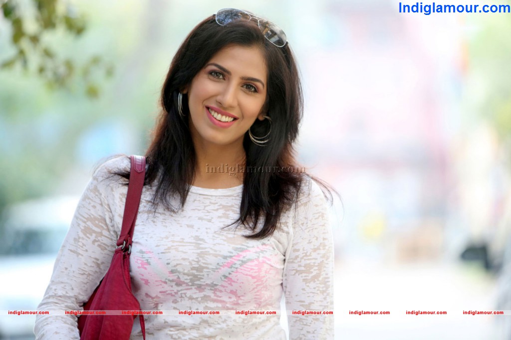 Lakshmi Iyer Actress hd photo