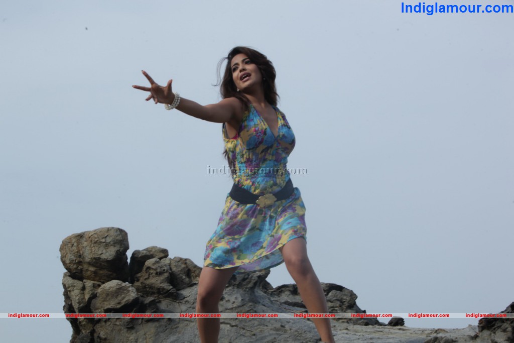 Adonika Actress hd photo