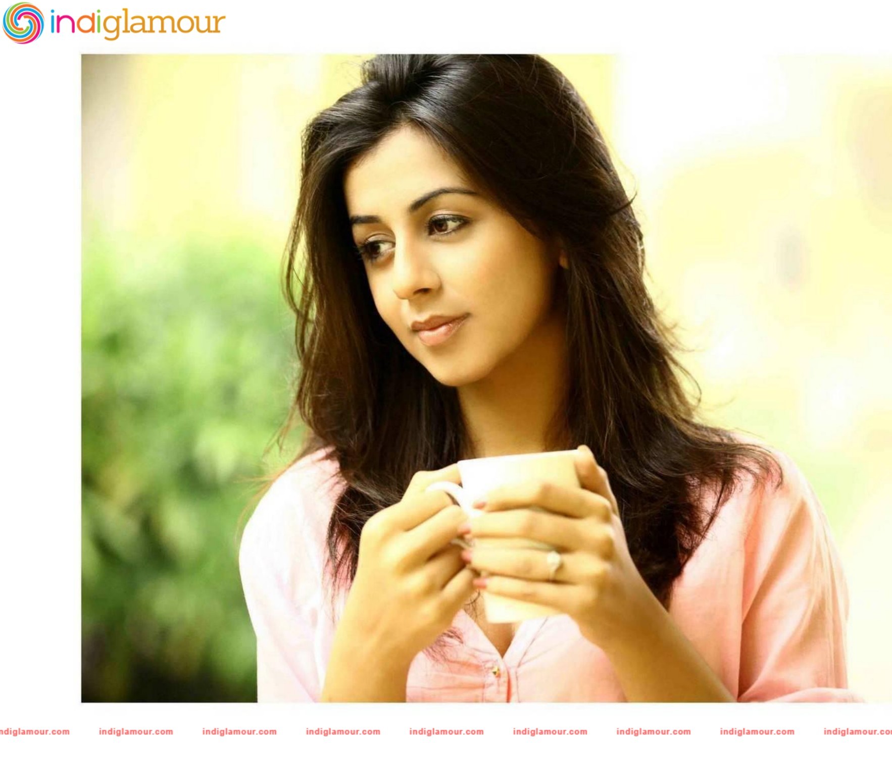 Nikki Galrani Actress hd photo