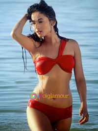 Sonal