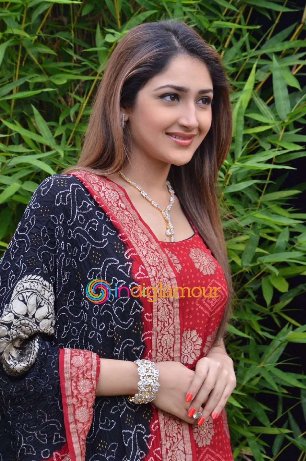 Sayesha Saigal Actress hd photo