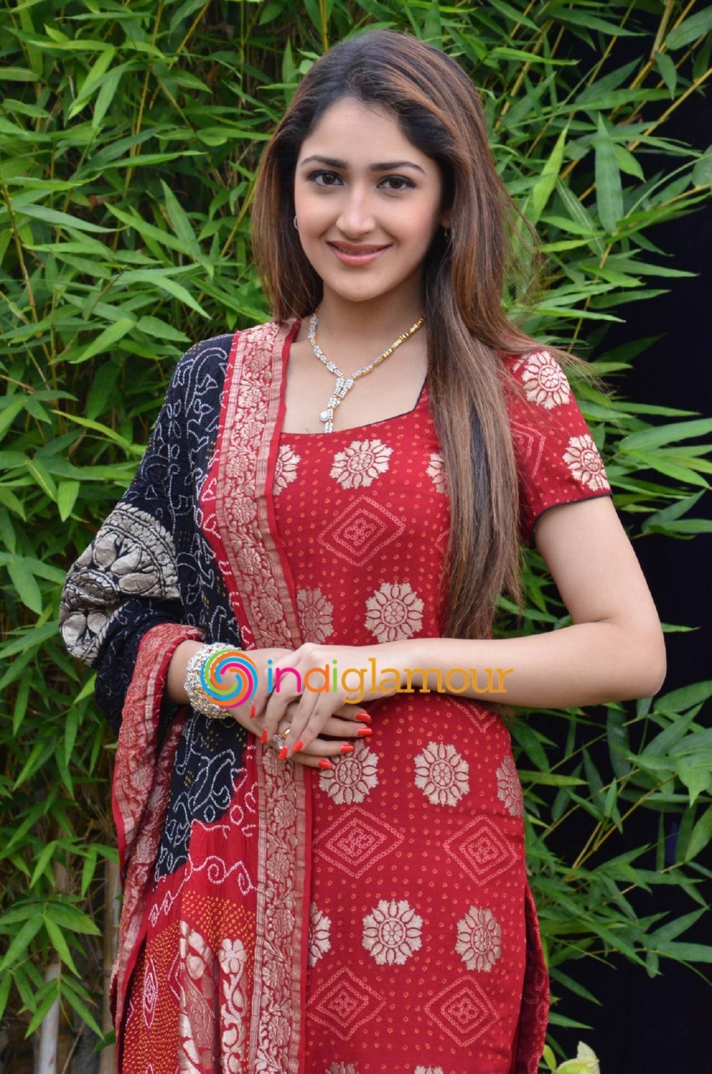 Sayesha Saigal Actress hd photo