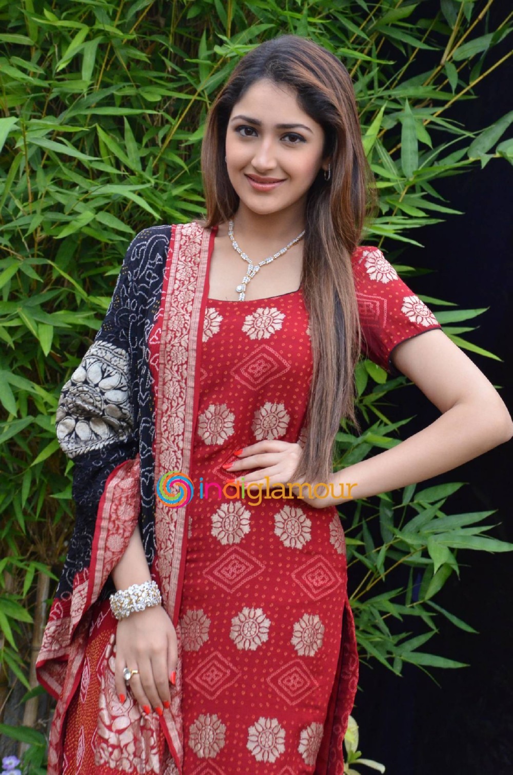 Sayesha Saigal Actress hd photo
