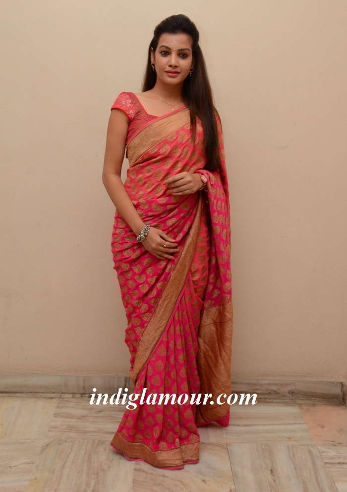 Diksha Panth Actress hd photo