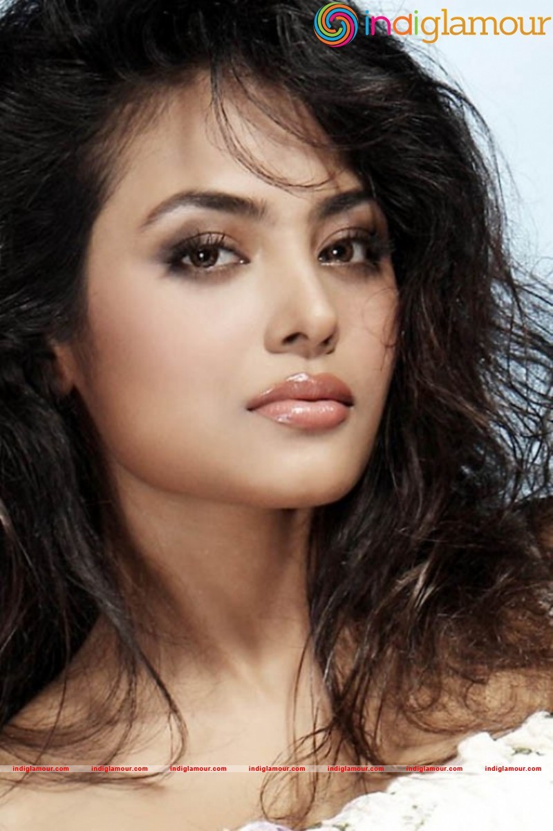Meenakshi Hot Photos Actress hd photo